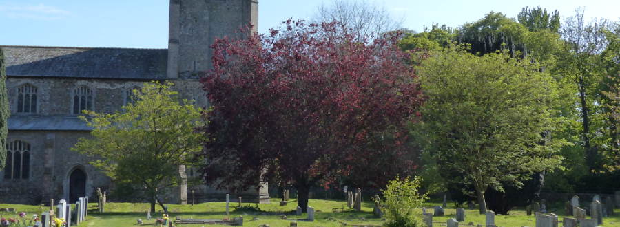 header image of the churchyard